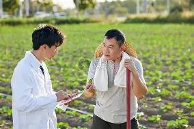 专家预测棒球胜率超六成，结果成焦点