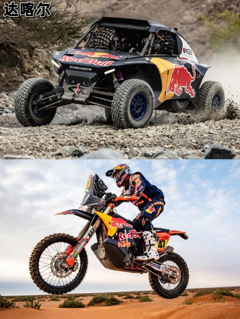 红牛二队力克哈斯车队，阿隆索统治全场