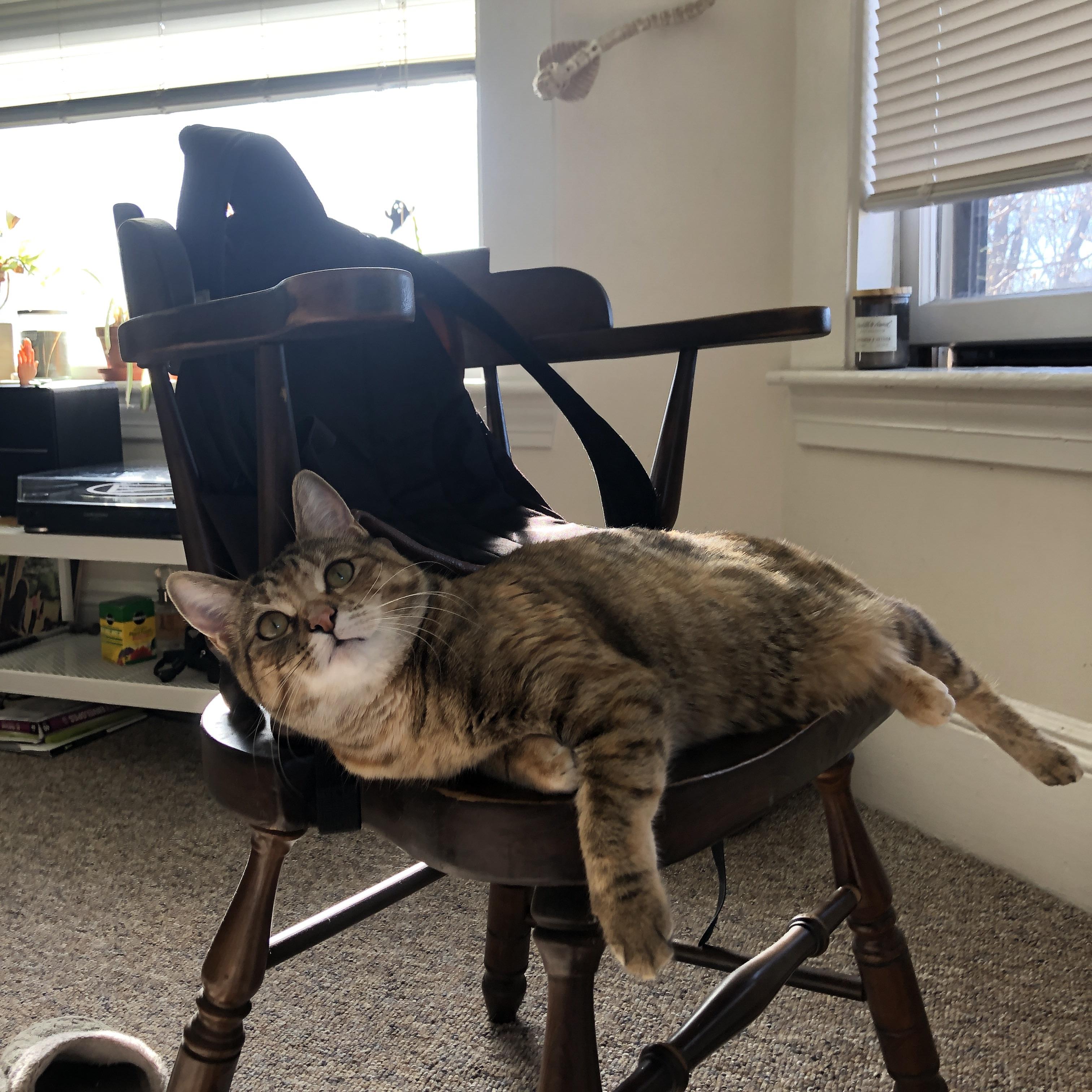 足球外交新章，切尔西国家队逆转三狮，维尼修斯致命温柔