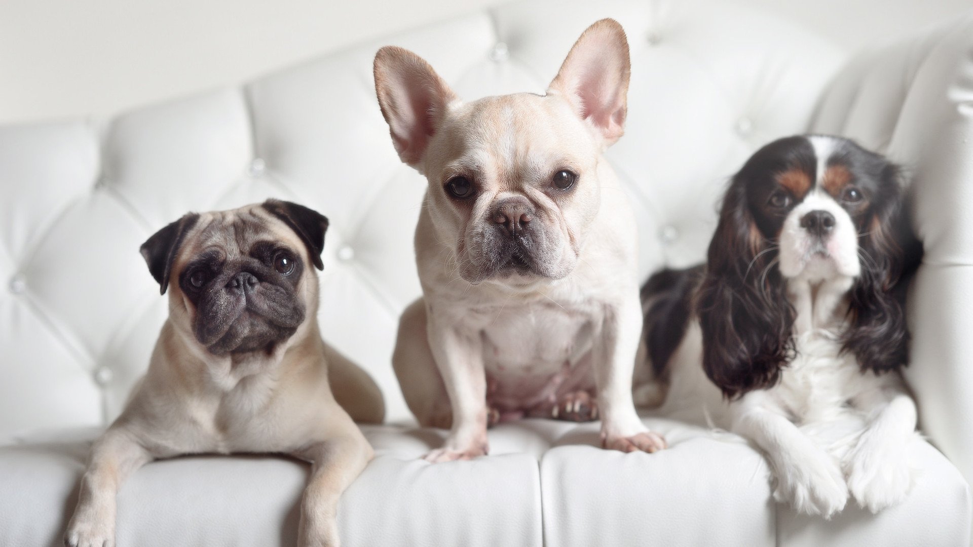 从圣殿到角斗场，阿尔卡拉斯如何用温网法则重塑网球哲学