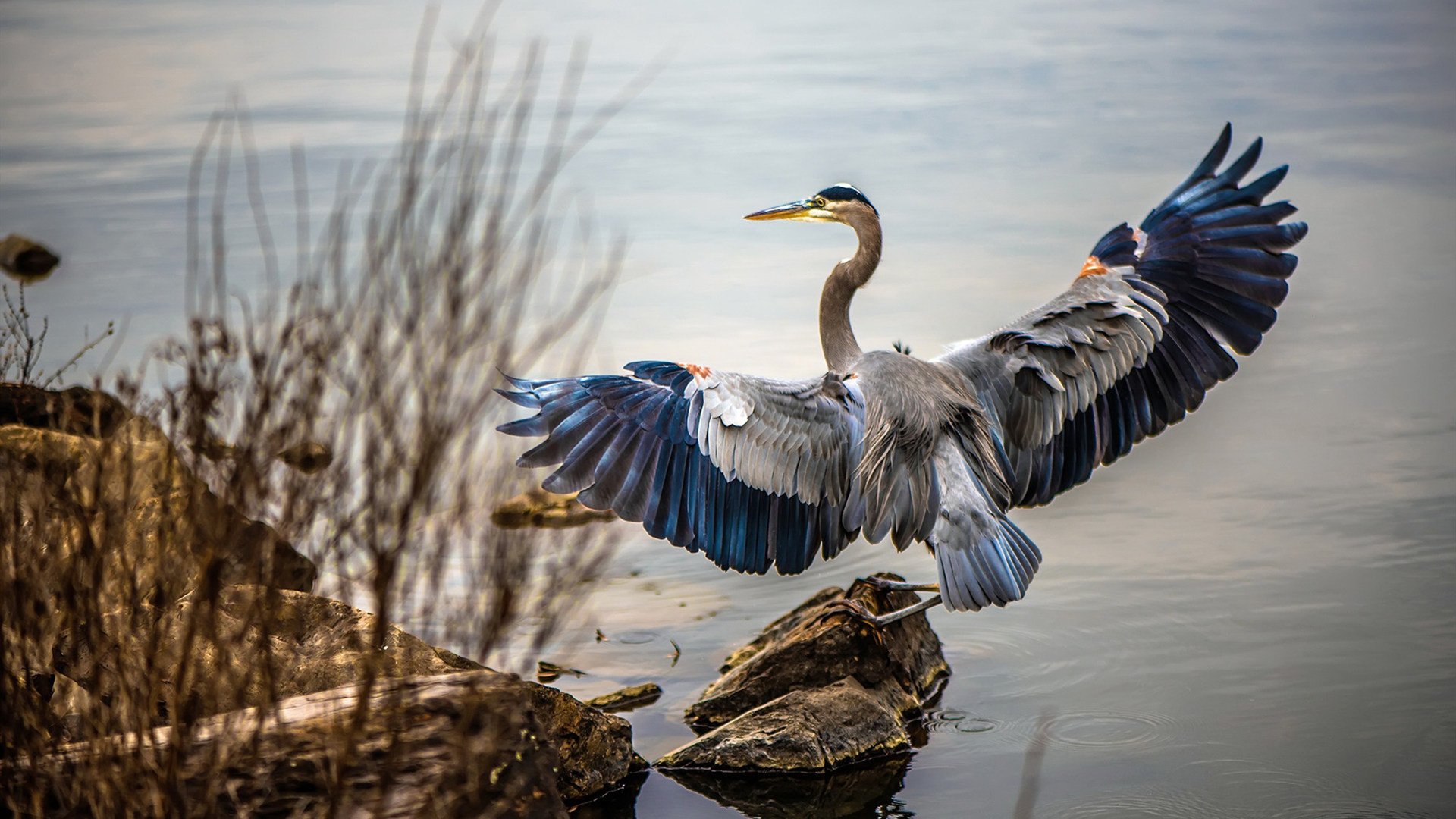 石宇奇率队逆风翻盘,印度队险胜韩国队背后的惊心动魄