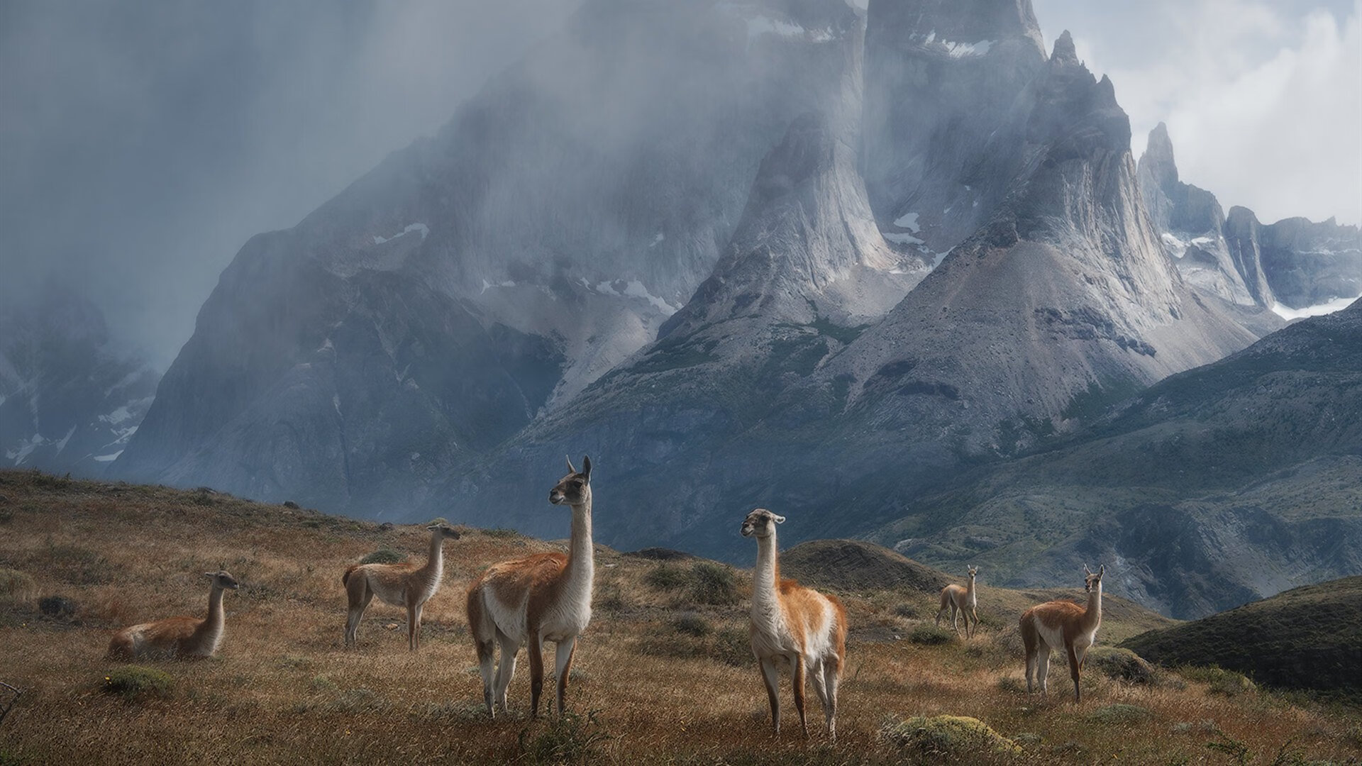 战术火焰淬炼的星辰，西亚卡姆在火箭压制活塞之战中揭示大舞台定律