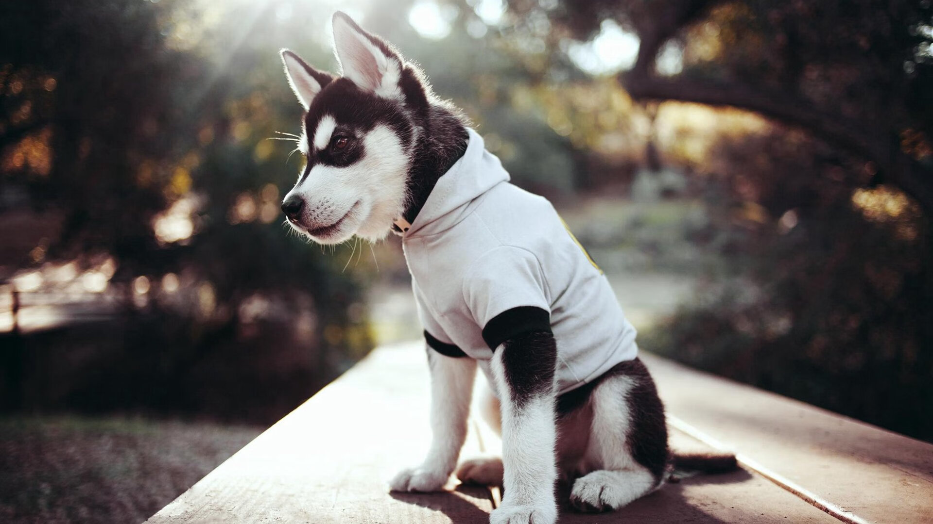 凯恩评分拉满的背后,一场穿越时空的足球想象