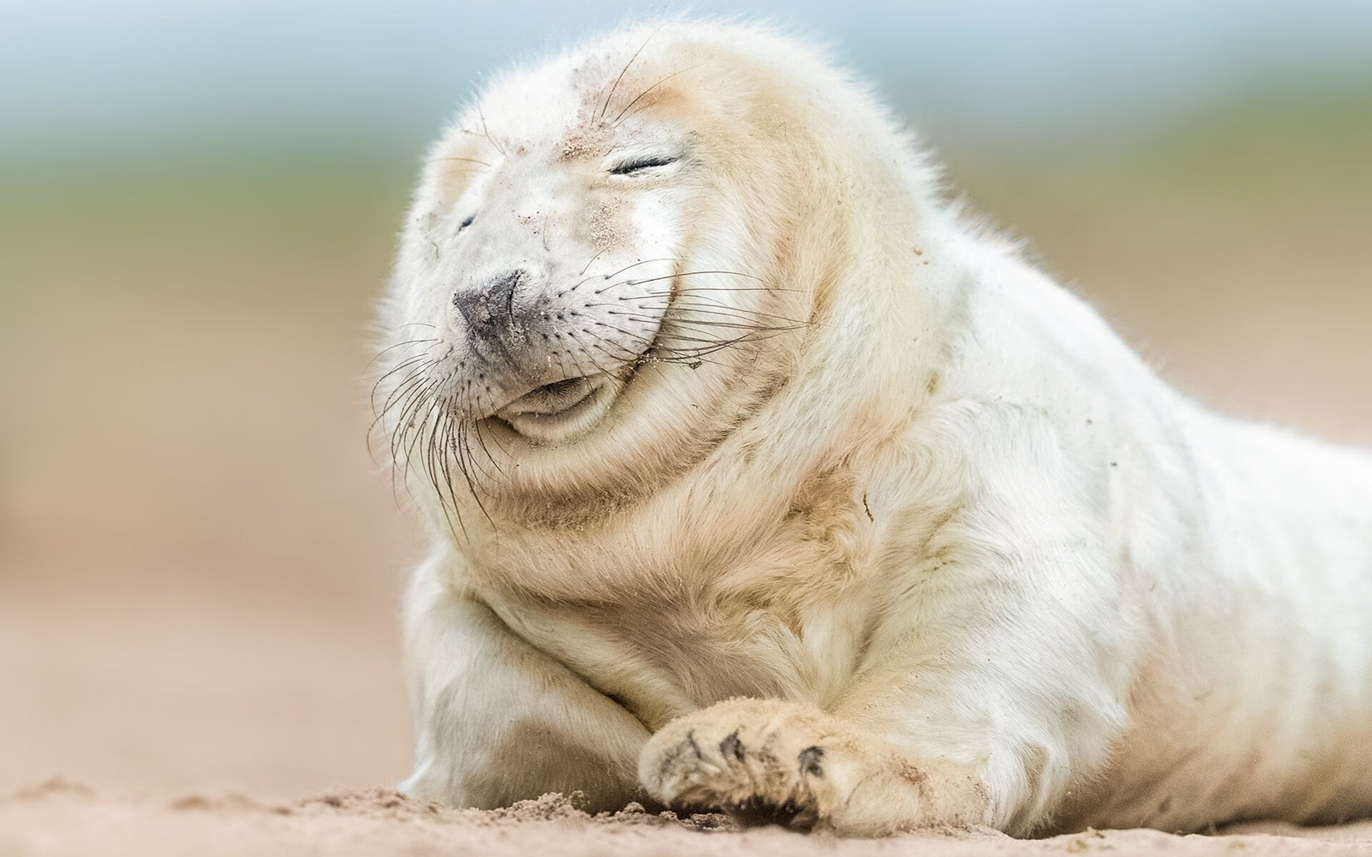 南美风暴与中场魔术师,秘鲁尖刀撕裂枪手,莫德里奇焦点战定乾坤