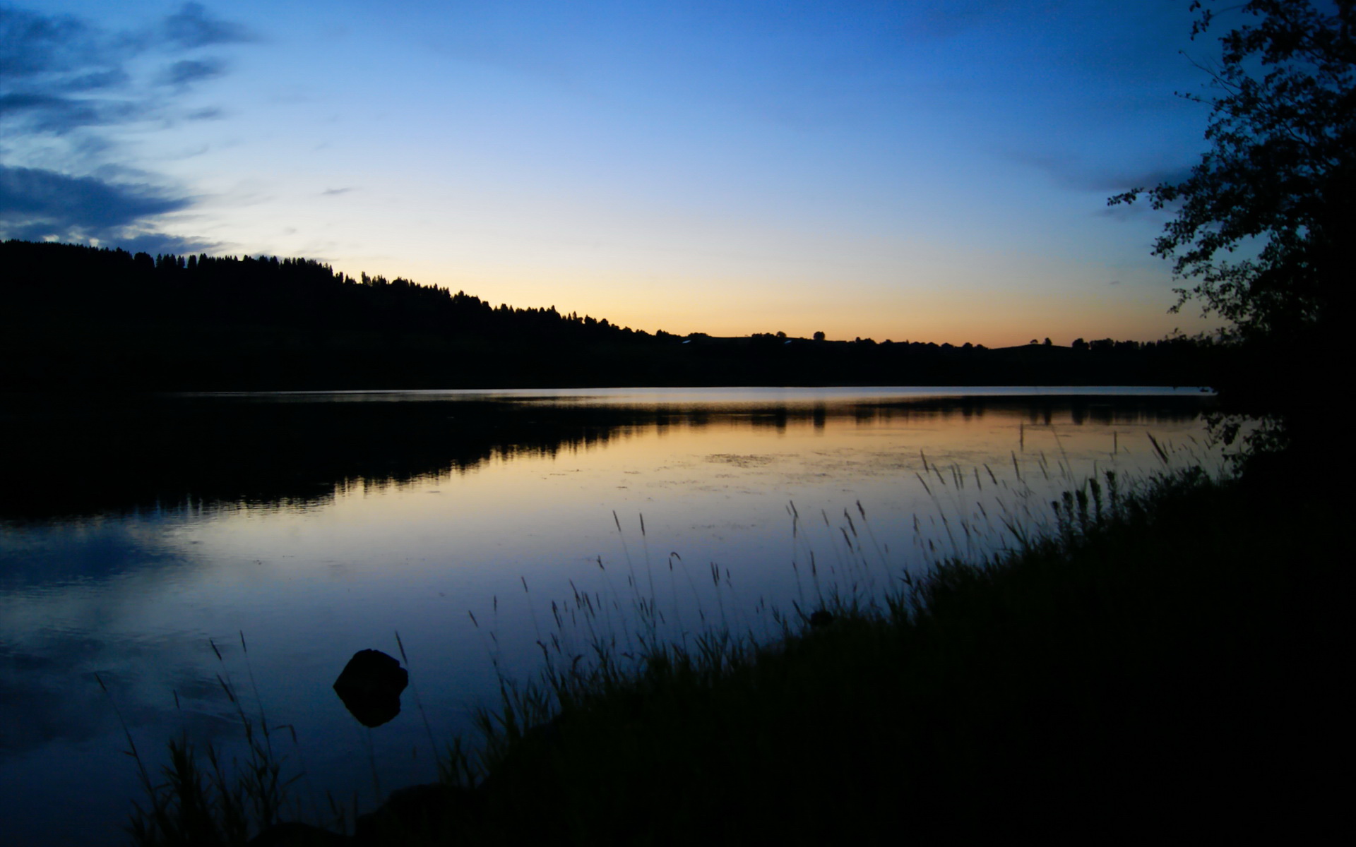 布克数据全面爆炸!个人封神,团队碾压,上海男篮让山西队吞下完败苦果